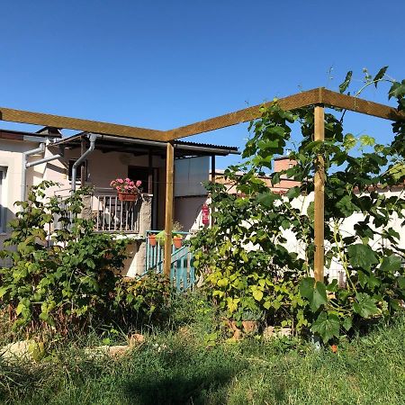 Ubytovani U Jerabku - Parkovani Zdarma Mikulov Extérieur photo