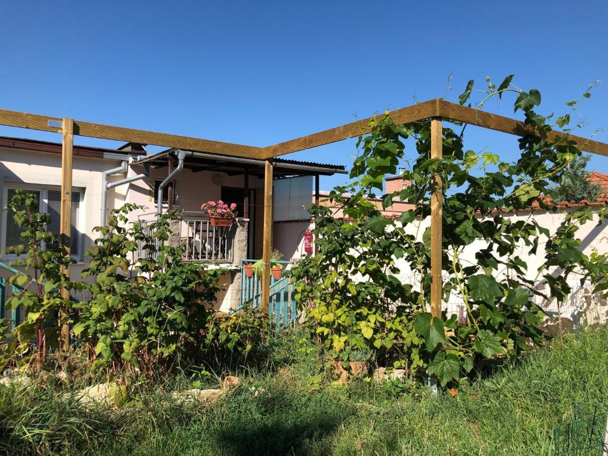 Ubytovani U Jerabku - Parkovani Zdarma Mikulov Extérieur photo