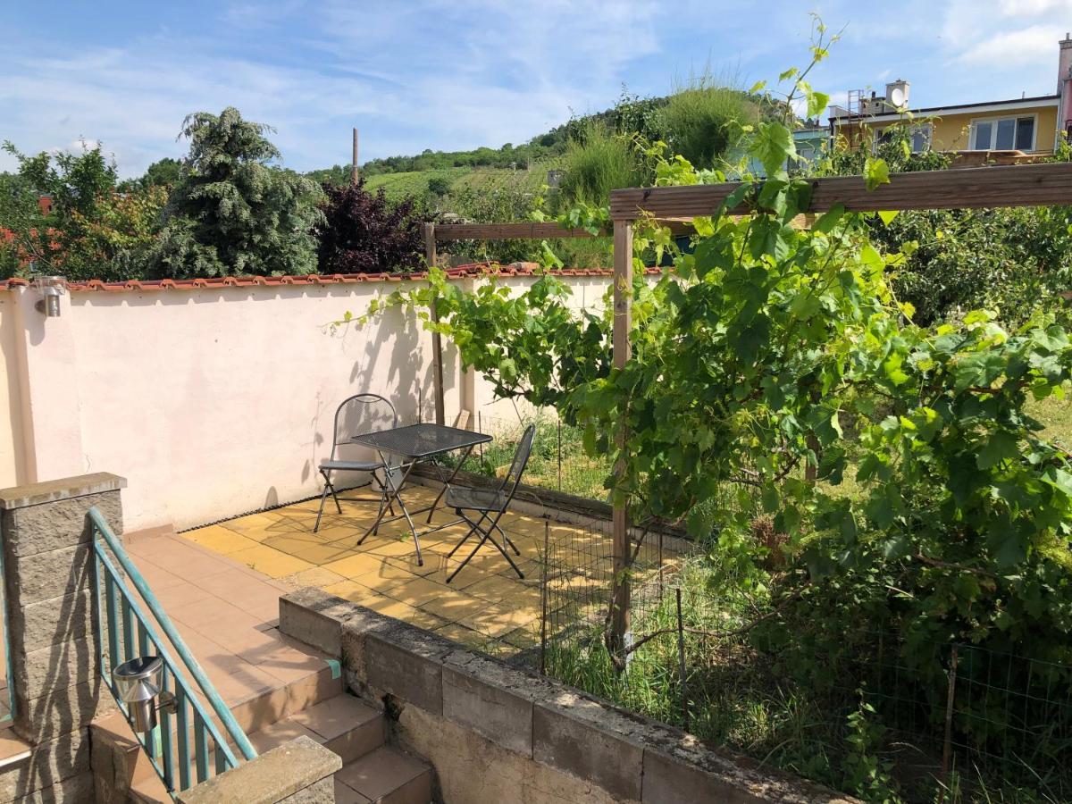 Ubytovani U Jerabku - Parkovani Zdarma Mikulov Extérieur photo