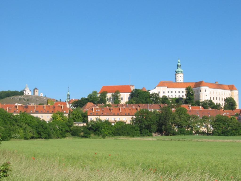 Ubytovani U Jerabku - Parkovani Zdarma Mikulov Chambre photo